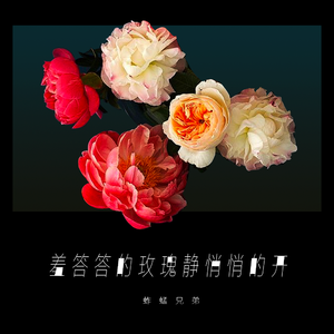 少萝裸体🔞🔞🔞黑料
